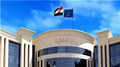 «الداخلية» تقرر السماح لـ 168 مواطنًا مصريًا بالحصول على جنسيات أجنبية