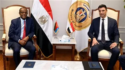 مصر وإريتريا تبحثان تشكيل مجلس أعمال مشترك لتعزيز التعاون الاقتصادي