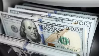 سعر الدولار في البنوك المصرية اليوم السبت 18 أبريل 2026
