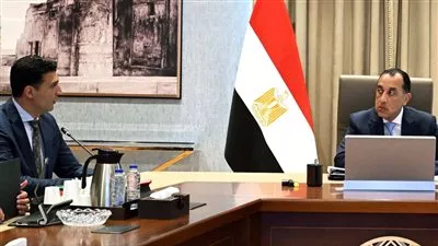الحكومة تدرس تقديم حوافز استثنائية للشركات العالمية لتصنيع السيارات فى مصر