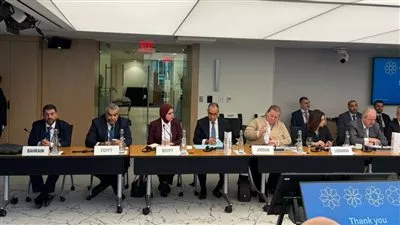 وزير «الخارجية»: الاقتصاد المصري أظهر صلابة بفضل الإصلاحات الهيكلية والنقدية