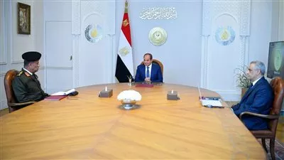 الرئيس السيسي يؤكد أهمية استمرار جهود تطوير شركات ومصانع «الإنتاج الحربي»