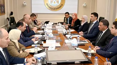 الحكومة تطلق منصة إلكترونية لتنظيم التفتيش على المنشآت الصناعية