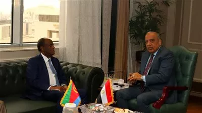 مصر وإريتريا تبحثان تعزيز التعاون في مجالات الكهرباء والطاقة المتجددة 