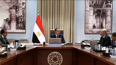 رئيس الوزراء يستعرض مقترحًا لتنفيذ مدينة المستشفيات والمعاهد الطبية بالعاصمة الجديدة
