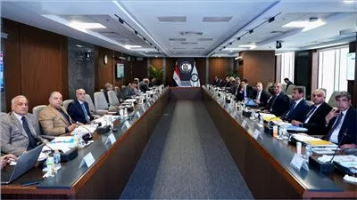 «غازتك»: ارتفاع استثمارات المشروعات تحت التنفيذ إلى 1.9 مليار جنيه