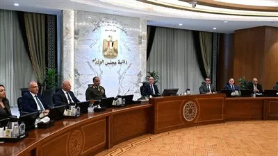 تخصيص 140 فدان لإقامة منطقة صناعية - خدمية في «اقتصادية قناة السويس»