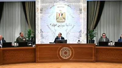 الحكومة توافق على تأسيس شركة «أركو سيدز» لإنتاج تقاوي الخضر والفاكهة