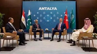 مصر وتركيا وباكستان والسعودية يبحثون مسار المفاوضات الأمريكية - الإيرانية