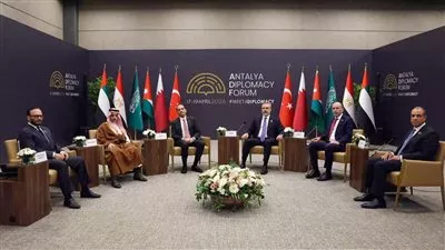 وزير «الخارجية» يؤكد على ثوابت الموقف المصري من القضية الفلسطينية
