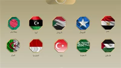مصر و 9 دول تدين إعلان إسرائيل تعيين مبعوث دبلوماسي بـ«أرض الصومال»