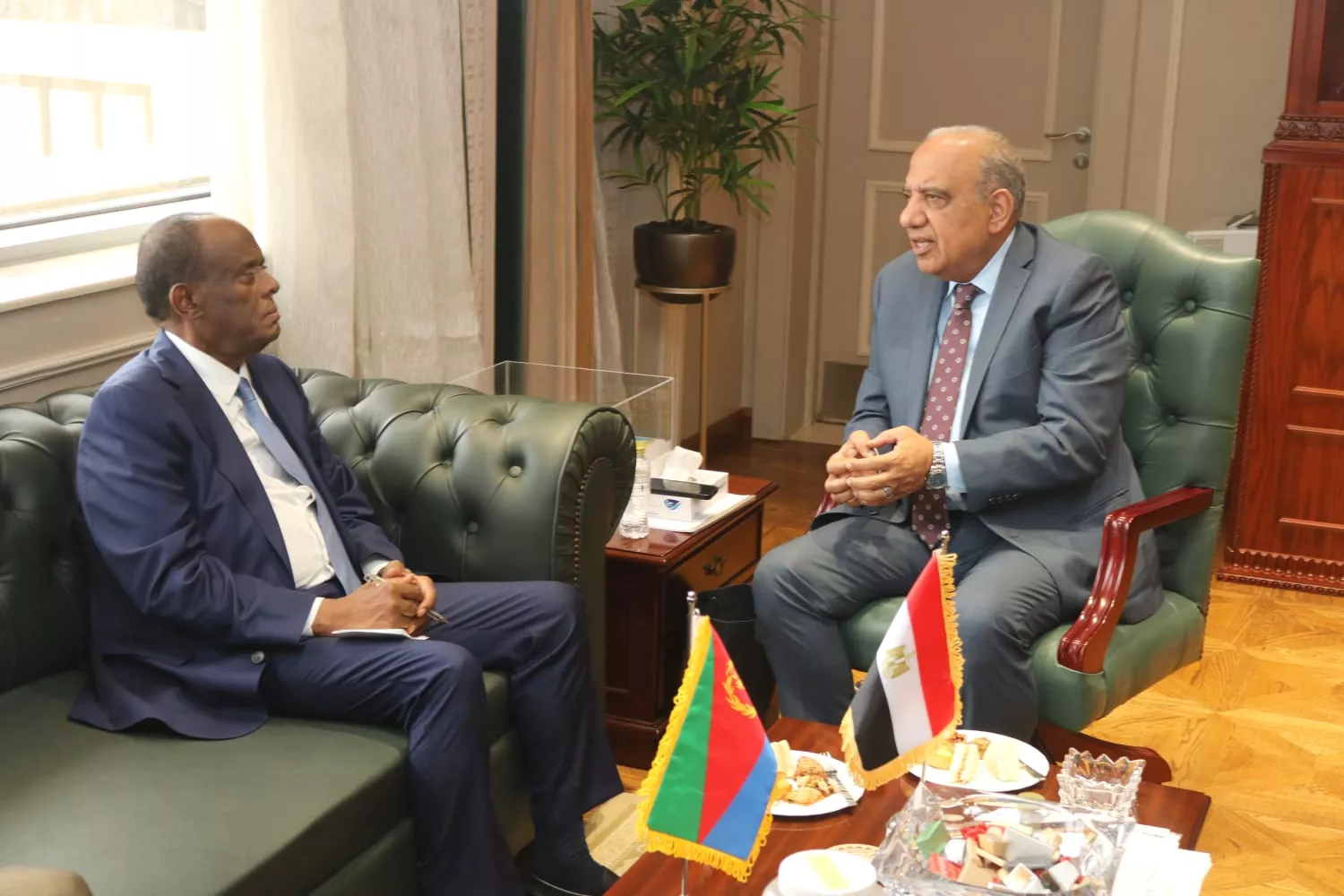 عصمت يبحث تعزيز التعاون في مجالات الكهرباء مع اريتريا 