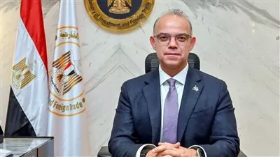 المناطق الاستثمارية فى مصر تجذب استثمارات بـ 66 مليار جنيه