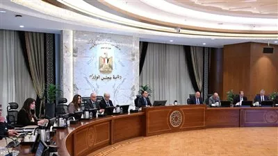 الحكومة: الأولوية لتأمين احتياجات المشروعات الصناعية والاستثمارية من الطاقة