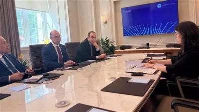 «متلايف» العالمية تدرس فرص الطروحات بقطاع التأمين في مصر