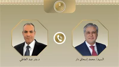 وزير «الخارجية» يبحث مع نظيره الباكستاني مسار المفاوضات الأمريكية - الإيرانية 
