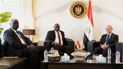 مصر وجنوب السودان تبحثان سبل تعزيز التعاون الاقتصادي والاستثماري