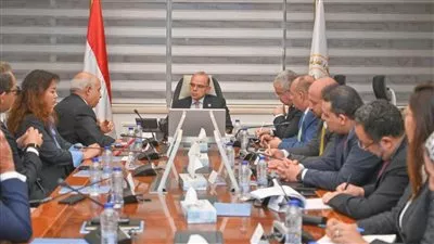 شركة صينية تبحث تصنيع إطارات السيارات عبر نظام المناطق الحرة الخاصة