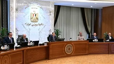 الحكومة تعدل قواعد الترخيص بالانتفاع بأراضي مشروعات إنتاج الطاقة الكهربائية