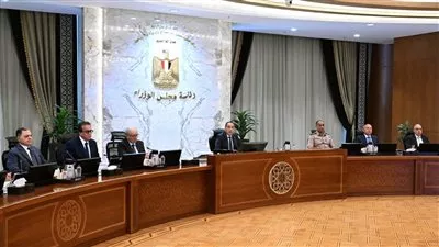 مجلس الوزراء يوافق على إصدار قوانين الأسرة