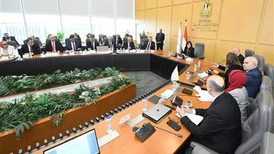انتهاء تنفيذ 809 آلاف وحدة لمحدودي الدخل ضمن مبادرة «سكن لكل المصريين» 