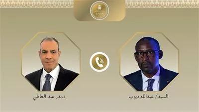 وزير «الخارجية» يبحث مع نظيره المالي جهود مكافحة الإرهاب بمنطقة الساحل 