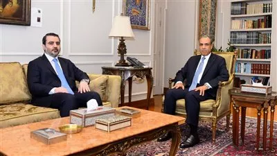 وزير «الخارجية» يبحث مع نظيره السوري سبل تعزيز العلاقات الثنائية