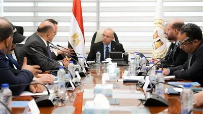 مجموعة «MRYK Holding» الصينية تستهدف الحصول على الرخصة الذهبية للتوسع في مصر