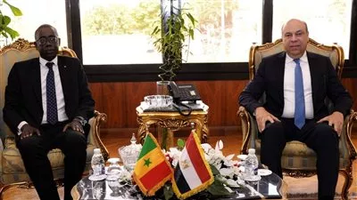وزير «الطيران» يبحث سبل تعزيز الربط الجوي بين مصر والسنغال