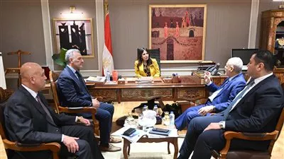 وزيرة «الإسكان» تبحث التعاون مع «أميا باور» في تنفيذ محطات تحلية المياه