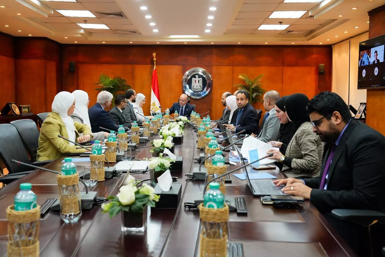وزير الاستثمار يجتمع مع وفد منظمة الأمم المتحدة للتنمية الصناعية يونيدو