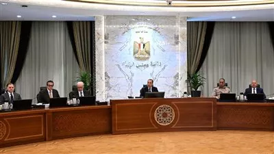 الحكومة تضم أصول علاجية لمنظومة التأمين الصحي الشامل بمحافظة المنيا