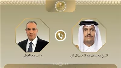 وزير «الخارجية» يبحث مع نظيره القطري جهود خفض التصعيد في المنطقة