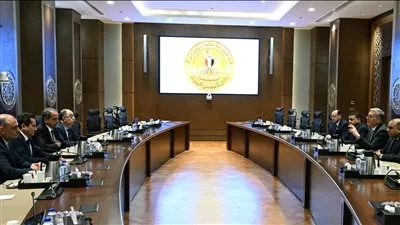 مباحثات مصرية - لبنانية لتعزيز التعاون في قطاع البترول والغاز