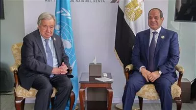 السيسي يبحث مع سكرتير عام الأمم المتحدة جهود استعادة الأمن والاستقرار بالمنطقة