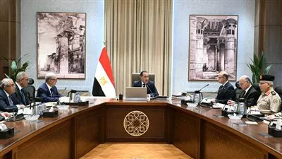 مصر تستعد لطرح 4 شركات تابعة للقوات المسلحة في البورصة المصرية