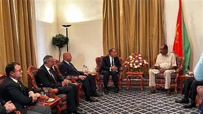 مصر وإريتريا تبحثان تعزيز الشراكة ودعم الأمن والاستقرار بالقرن الأفريقي والبحر الأحمر