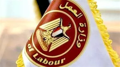قرار وزاري بتنظيم عمل مراصد سوق العمل