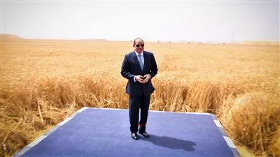 الرئيس السيسي: 800 مليار جنيه تكلفة البنية التحتية لمشروع الدلتا الجديدة