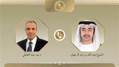 وزير «الخارجية» يبحث مع نظيره الإماراتي جهود خفض التصعيد في المنطقة