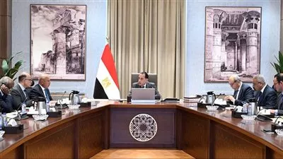 مصر تشكل مجموعة عمل لوضع آليات زيادة التعاون التجاري والاستثماري مع إفريقيا