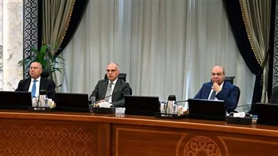 «فاروس جلوبال» تتولى إنشاء وتشغيل محطة تداول الصب الجاف بميناء أبو قير