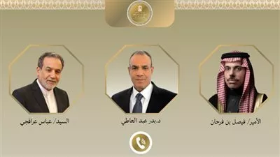 وزير «الخارجية» يبحث مع نظيريه السعودي والإيراني جهود خفض التصعيد في المنطقة