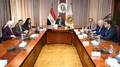 مصر تبحث تعزيز التعاون مع UNDP بمجالات الصناعة والطاقة المتجددة