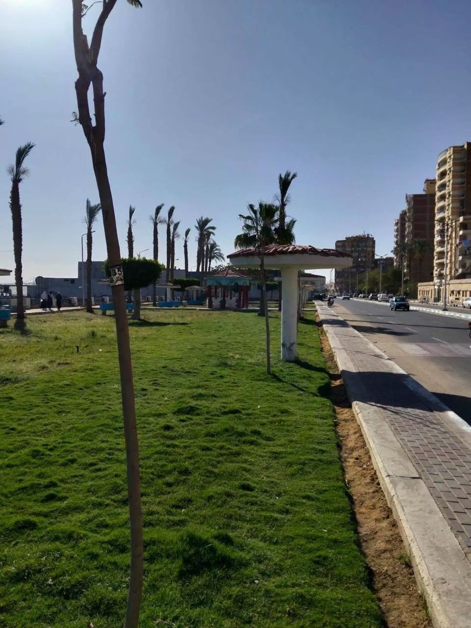  تنفيذ المرحلة الرابعة من المبادرة الرئاسية 100 مليون شجرة