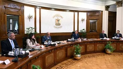 الحكومة تعد استراتيجية وطنية لتنظيم إنشاء مراكز البيانات