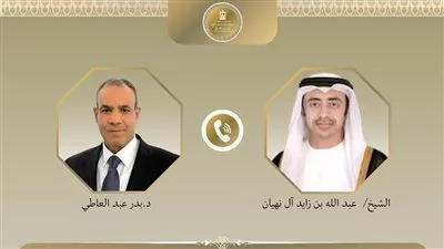 وزير «الخارجية» يبحث مع نظيره الإماراتي مستجدات الأوضاع الإقليمية