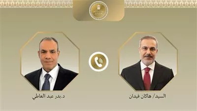 وزير «الخارجية» يبحث مع نظيره التركي جهود خفض التصعيد الإقليمي