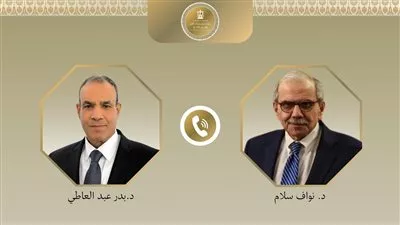 وزير «الخارجية» يؤكد تضامن مصر مع لبنان في مواجهة التحديات الراهنة