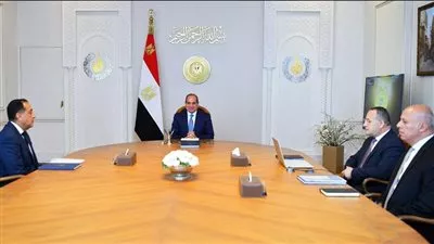 الرئيس السيسي يوجه بتعزيز شراكات التعليم العالي وتنافسية الجامعات المصرية